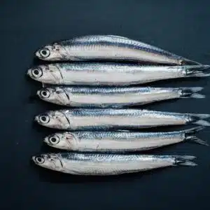 Photo de six anchois crus sur fond bleu marine. Epicerie grecque en ligne - Growy and Tasty