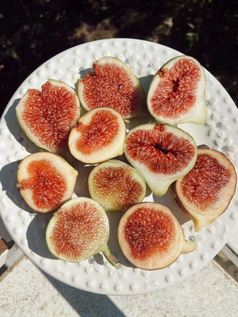 Figs have played a central role in Greek history for thousands of years. The first traces of fig tree cultivation date back to Minoan times, around 2500 BC, in Crete. In ancient Greece, figs were considered a sacred food, often offered to the gods and used in religious ceremonies.