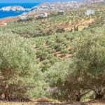 Μη κατηγοριοποιημένο