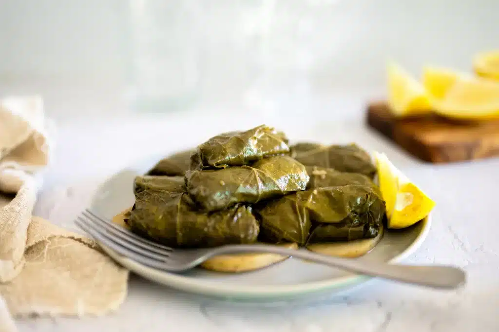 Plate of dolmades with lemon slices, white gray plate and fork