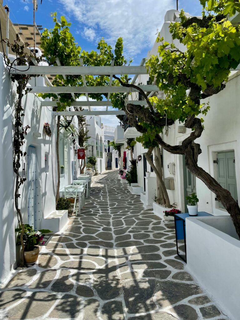 Naoussa, l'un des joyaux de Paros, est un village où le charme traditionnel se mêle à une vie nocturne animée. Autrefois simple port de pêche, Naoussa est devenu un centre culturel et social de l'île, réputé pour son port pittoresque et ses tavernes en bord de mer.