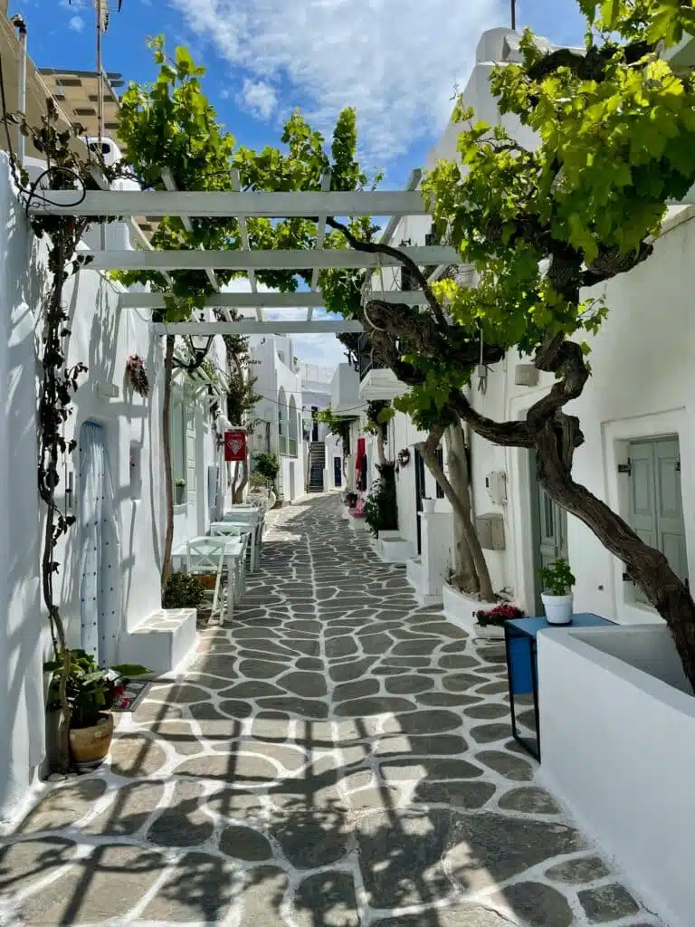 Naoussa, l'un des joyaux de Paros, est un village où le charme traditionnel se mêle à une vie nocturne animée. Autrefois simple port de pêche, Naoussa est devenu un centre culturel et social de l'île, réputé pour son port pittoresque et ses tavernes en bord de mer.