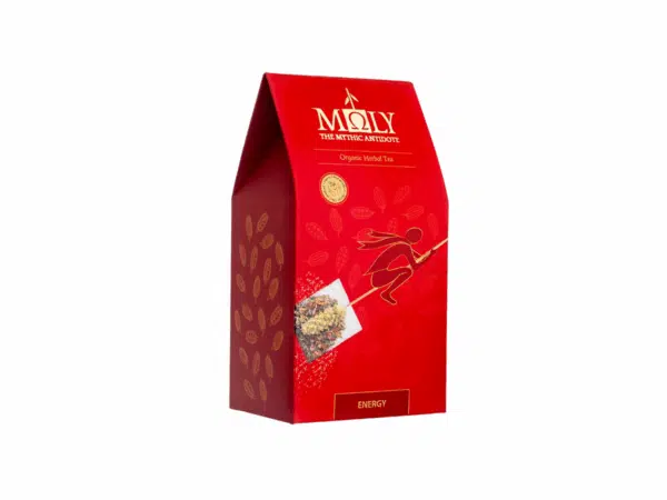 Tisane Bio énergie | 10 sachets