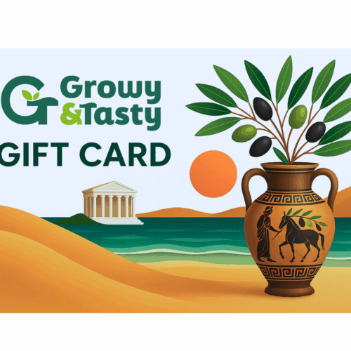 Carte cadeau Growy and Tasty avec illustration grecque.