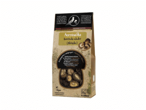 Shiitake séchés 25 g – Natural History Museum of Meteora