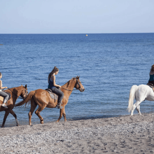 Balade à cheval sur la plage à Rhodes