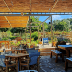 Terrasse d'un domaine viticole en Crète avec tables et chaises, illustration d'une escapade œnologique et dégustation d'huile d'olive bio.