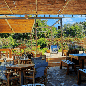 Terrace on a wine estate in Crete with tables and chairs, illustration of an oenological escapade and organic olive oil tasting.